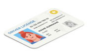 Illustration of a driver’s license with a cartoon photo, placeholder name, ID number, and personal details.